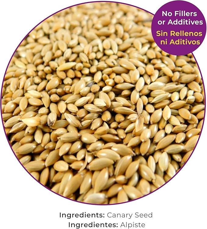 Birds LOVE Alpiste Canary Seed – 100% Pure, Non-GMO, Double Cleaned Food for Canaries, Finches, Budgies & Parakeets – No Additives, Bird Feed, 5 lbs