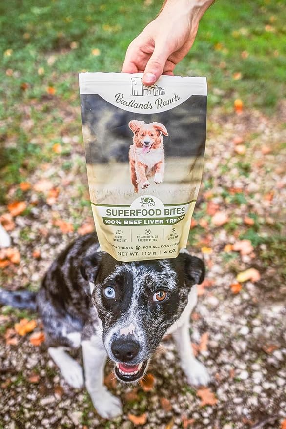Superfood Bite, Freeze-Dried Raw Dog Treats - Protein Rich, Train & Reward, Traceable Single Ingredient by Katherine Heigl (4 Ounce (Pack of 4) Beef Liver)