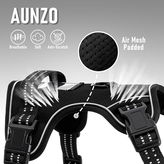 Extra Small Dog Vest Harness, No-Pull Pet Harness with 2 Leash Clips, Adjustable Soft Padded Dog Vest, Reflective No-Choke Pet Oxford Vest with Easy Control Handle for XSmall Breeds, Black, XS