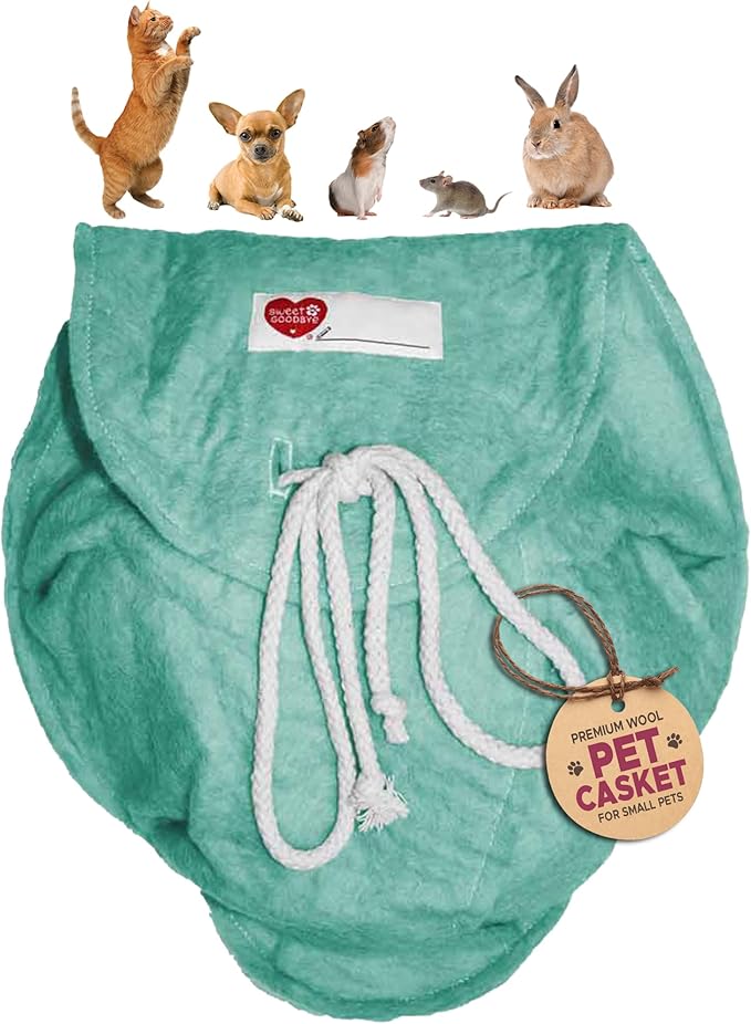 Cloud® - Eco-Friendly Pet Burial & Cremation Ceremony Kit - Casket for Smaller Pets: Rabbits Hamsters Gerbils Birds Reptiles, Small Cats (Choose Size & Color)(Medium, Aqua)