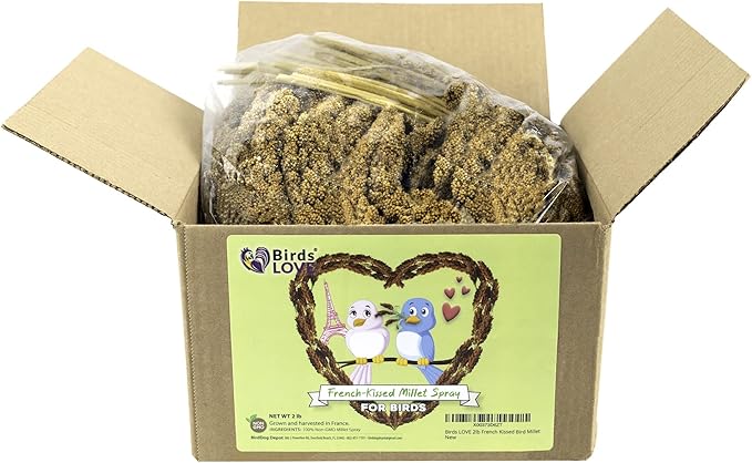 Birds LOVE French Kissed Spray Millet for Birds - Parakeets, Cockatiels, Lovebirds, Finches, Budgies, Canaries, Cockatoos - Natural & Healthy Bird Millet - Parakeet Food & Treats for All Parrots 2lbs