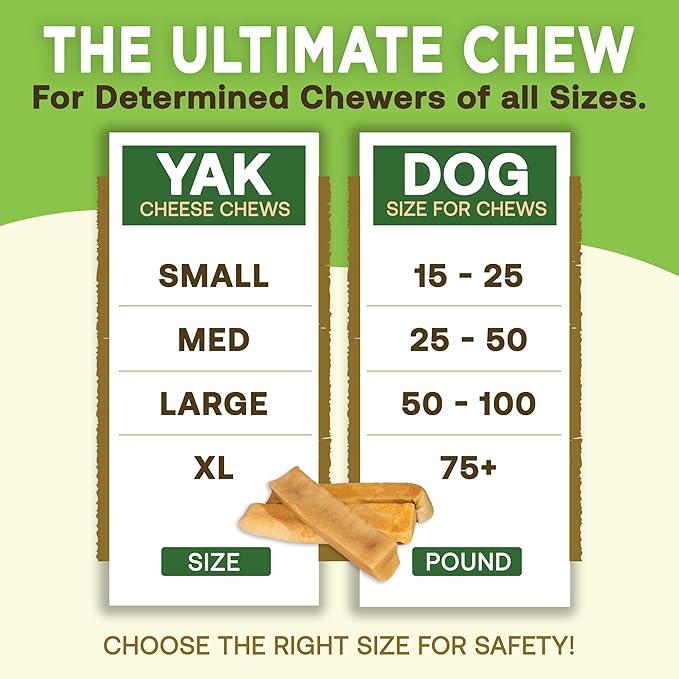EcoKind Pet Treats Gold Himalayan Yak Cheese Medium Dog Chew | Great Treats for Dogs, Indoors & Outdoor Use - 3 Medium Chews
