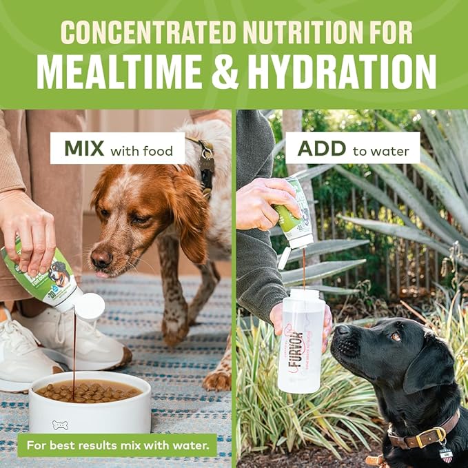 Beef Mobility Support Bone Broth Concentrate for Dogs - Collagen Protein Supplement - Boosted w/Amino Acids, Glucosamine, and Chondroitin - Dog Food Topper - Human Grade (2 Pack, 60 Servings)