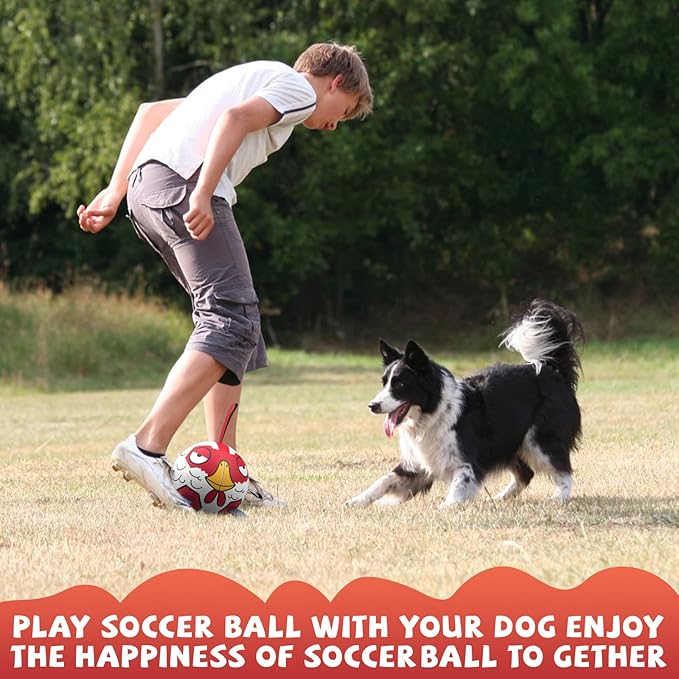 QDAN Premium Dog Balls Toys, Outdoor Dogs Toy for Small Medium Dogs, Puppy Birthday Gifts, Dog Soccer Ball, 6 Inch, Chicken Ball