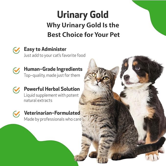 Pet Wellbeing Urinary Gold for Dogs - Vet-Formulated Multi-Herb Urinary Tract Support - Bladder Health & Urinary System Wellness - Holistic Dog Supplement - Liquid Formula 4 oz (118 ml)
