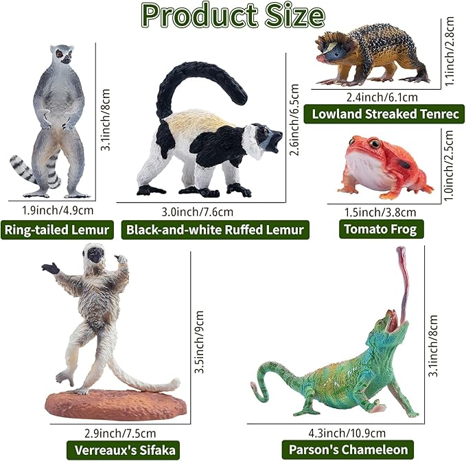 Toymany 12PCS Madagascar Animal Figurines Set, Realistic Lemur Jungle Animal Toys Set Includes Chameleon, Tortoise,Gecko,Fossa,Sifaka -Educational Forest Animals Figure Toy Collection for Kids Adults