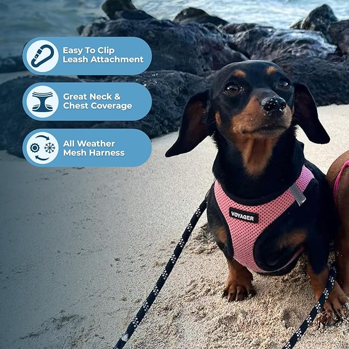 Voyager Step-in Air All Weather Mesh Harness and Reflective Dog 5 ft Leash Combo with Neoprene Handle, for Small, Medium and Large Breed Puppies by Best Pet Supplies - Pink Base,M
