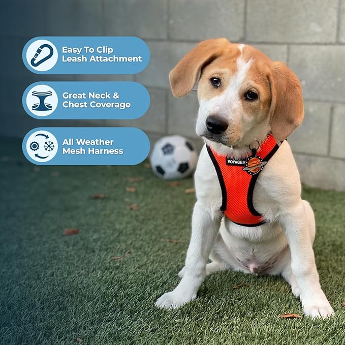 Voyager Step-in Air All Weather Mesh Harness and Reflective Dog 5 ft Leash Combo with Neoprene Handle, for Small, Medium and Large Breed Puppies by Best Pet Supplies - Orange/Black Trim, Small