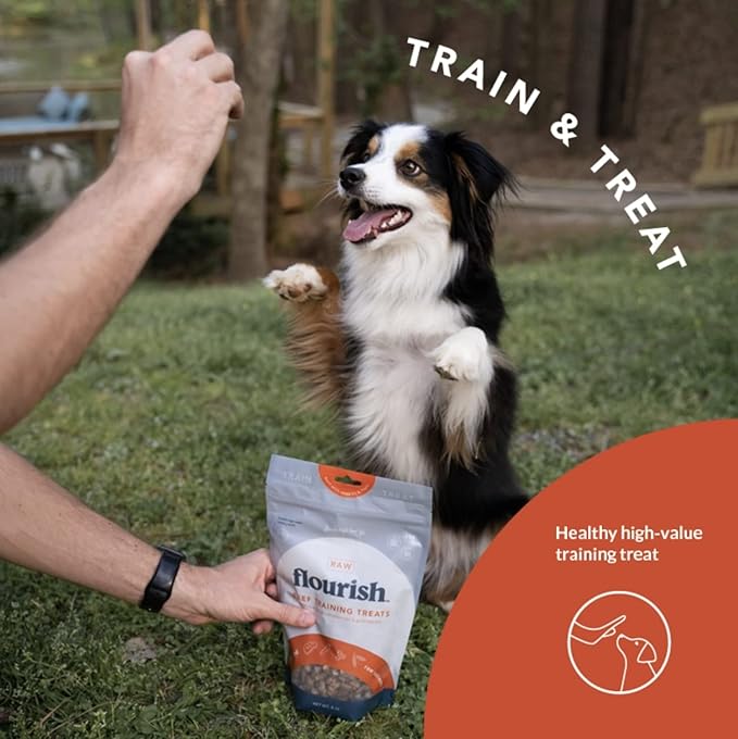 Flourish Pets Freeze Dried Raw Pet Treats for Dogs (Beef Training Treat, Regular)