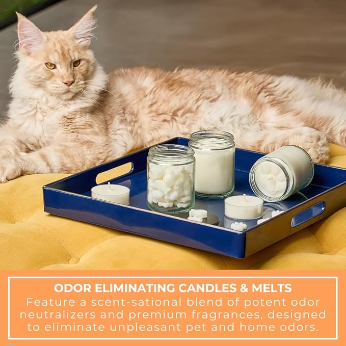 9oz Pet Odor Eliminator Deodorizer Candle, Long-Lasting Citrus Scented, Non Toxic, Natural Plant-Based Wax Blend