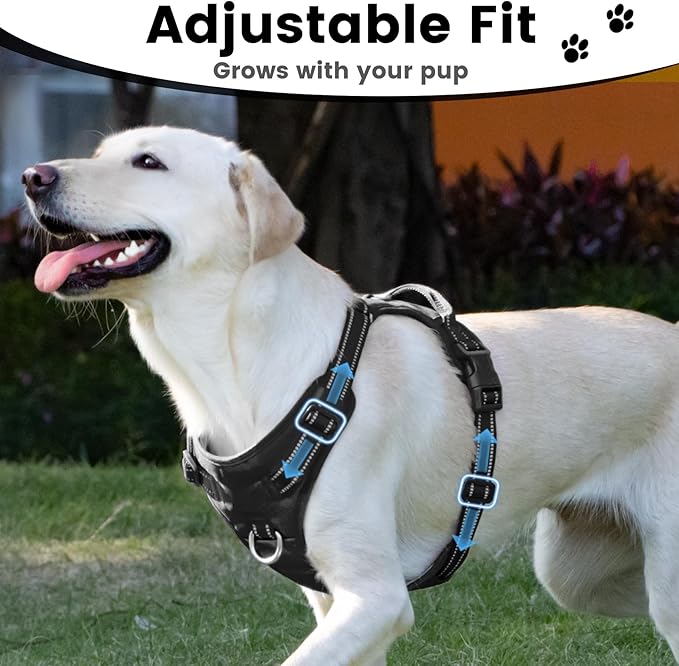 No Pull Dog Harness, Reflective Puppy Vest for Small Medium Large Sized Dog(Black,M)