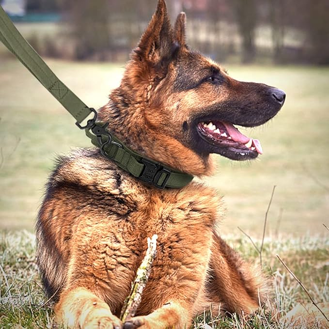 Tactical Dog Collar and Leash Set Heavy Duty Military Dog Collar with Handle and Metal Buckle for Medium and Large Dogs (Army Green, M)