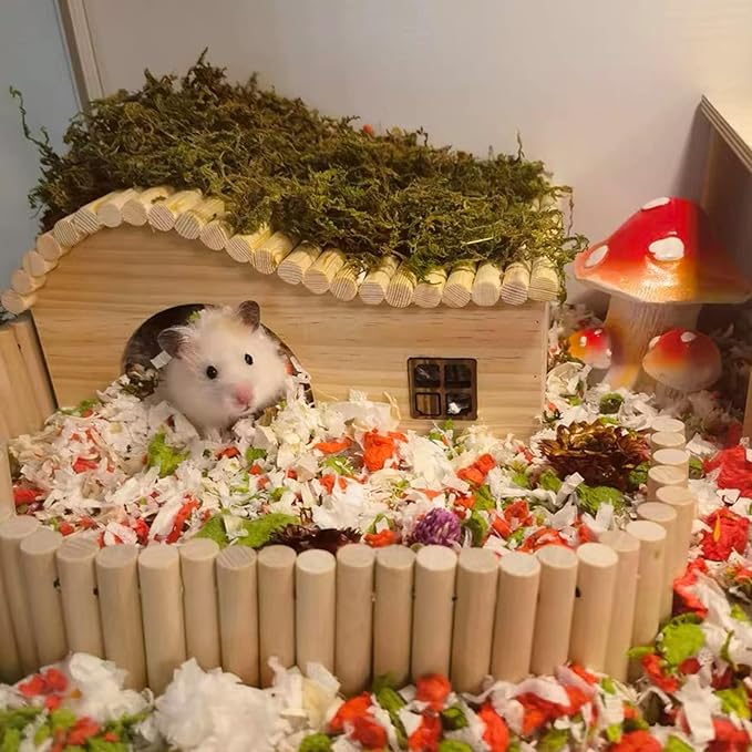 Hamster Wooden House with Windows Rat Wood Hideout Small Animal Climbing Play Hut for Dwarf Hamster Sugar Gliders Gerbil
