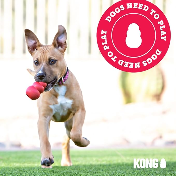 KONG Classic Stuffable Dog Toy - Fetch & Chew Toy for Dogs - Treat-Filling Capabilities & Erratic Bounce for Extended Play Time - Durable Natural Rubber Material - for Medium Dogs