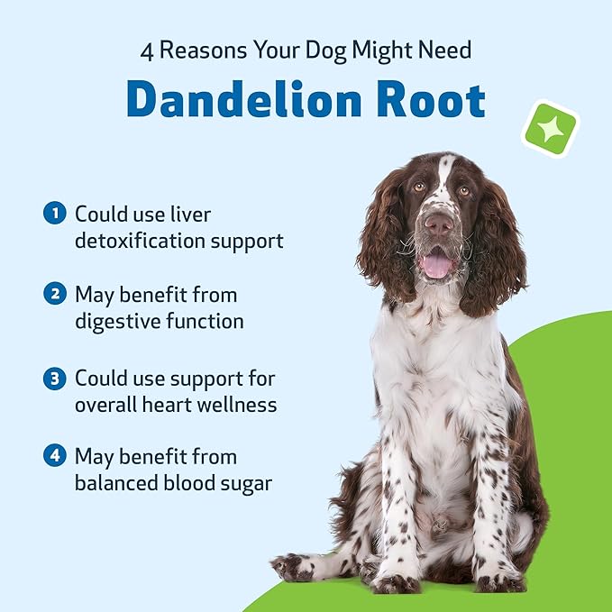 Pet Wellbeing Dandelion Root for Dogs - Liver & Heart Health, Digestive Function, Blood Sugar Support, Certified Organic - Veterinarian-Formulated Herbal Supplement 2 oz (59 ml)
