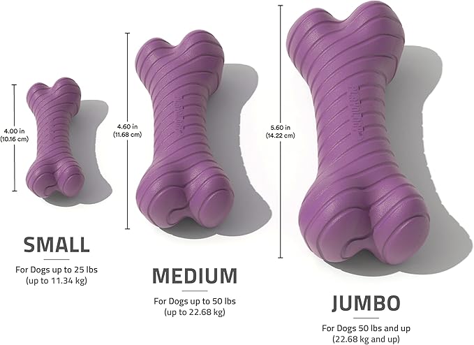 Playology Dog Toys | Dual Layer Bone Durable Chew Toy Bone for Dogs (Value 2-Pack) | Medium Bacon Scented Toy - Easy to Clean and Made from Non Toxic Materials