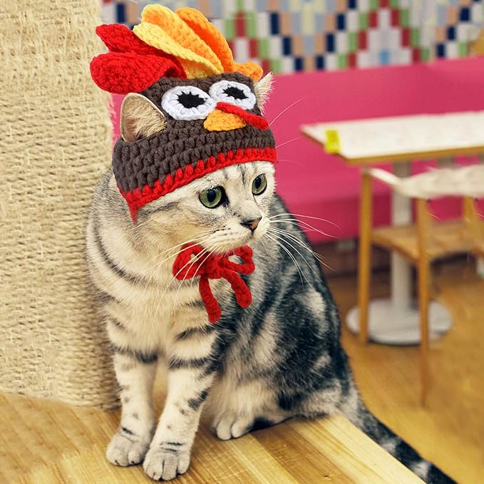 Legendog Cat Costume Pet Turkey Hat Thanksgiving Apparel for Cats Small Dogs