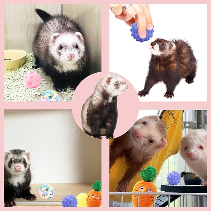 12 Pack Ferret Toys Set, Colorful Teething Balls Squeaky Toys Soft Rubber Balls Cute Ferret Plush Toy Interactive Sound for Ferret Rat Small Animals Cage Exercise Entertainment Chew Toys