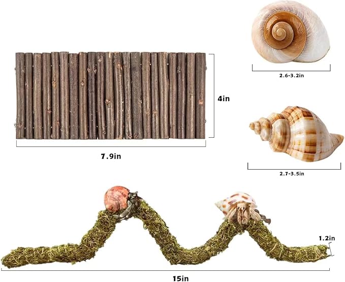 Hermit Crab Accessories, Hermit Crab Shells Natural Adjustable Climbing Toys Bendable Bridge, Plants for Reptiles & Amphibians Supplies (A-Group-4PCS)