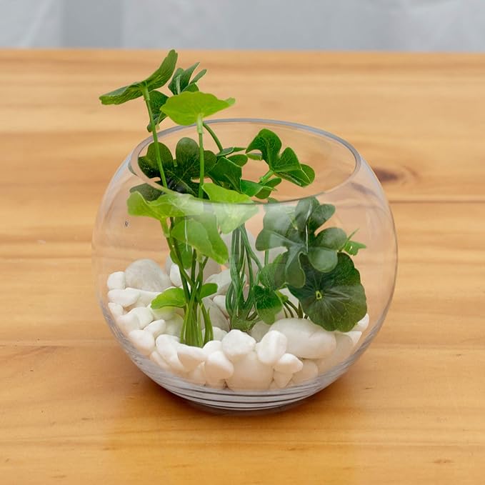 WGVI Bowl Glass Vase, Diameter 8", Height 6", Open Width 5", (Multiple Sizes Choices) Clear Bubble Planter Terrarium Fish Bowl for Wedding Event Home Decor, 1 Piece (VBW0008A)