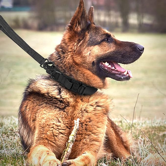 Tactical Dog Collar and Leash Set Heavy Duty Military Dog Collar with Handle and Metal Buckle for Medium and Large Dogs (Black, M)