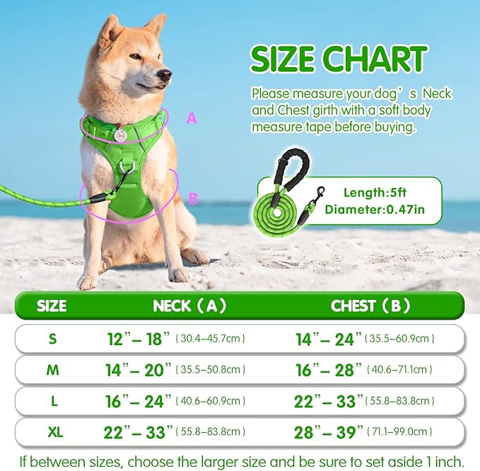 PoyPet No Pull Dog Harness and 5 Feet Leash Set, Release on Neck Reflective Adjustable Pet Vest, Front & Back 2 D-Ring and Soft Padded Pet Harness with Handle for Small to Large Dogs(Green,L)