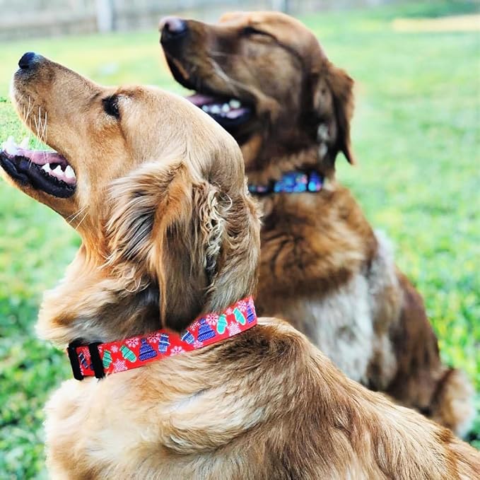 Lucky Love Dog, Winter Stocking Caps and Mittens Dog Collar and Leash Set, Matching Snowflakes Collar and Leash for Male and Female Dogs - (Small, Chilly Combo)
