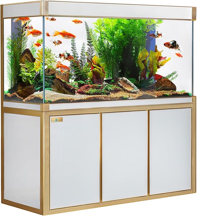 135-Gallon Aquarium Tempered Ultra Clear Glass with Complete Setup in White with Gold Trims