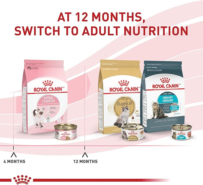 Royal Canin Feline Health Nutrition Kitten Thin Slices in Gravy Cat Food, 3 oz (Pack of 6)