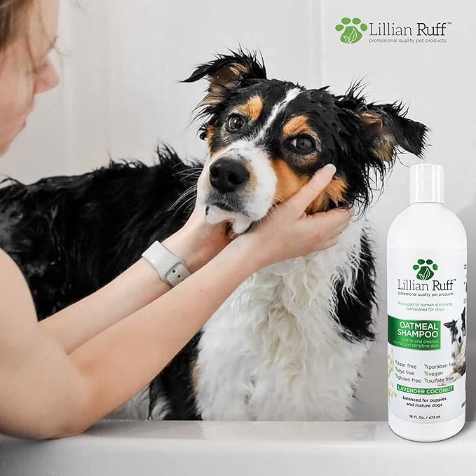 Lillian Ruff PRO Formula Deodorizing Oatmeal Dog Shampoo - Calms Itching & Allergies, Ultra-Nourishing Dry Skin Relief - Oatmeal, Aloe, Coconut Oil, Lavender & Provitamin B5 - Made in USA 16oz+Brush