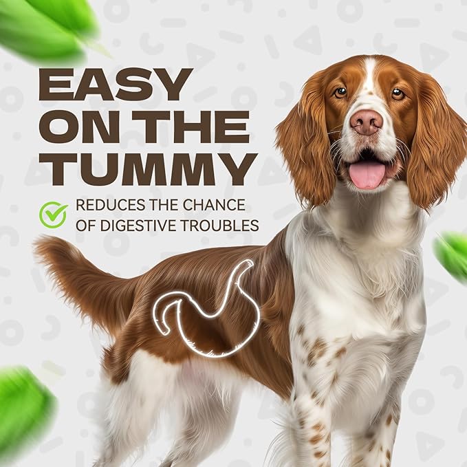 Chicken Jerky Dog Treats, Real Chicken Strips Dog Training Treats Soft Rawhide-Free Chews Healthy Snacks for Small Medium Large Breed 10.54oz