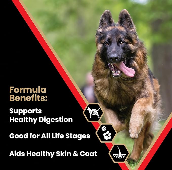VICTOR Super Premium Dog Food – High Energy Dry Dog Food for Active Dogs – Gluten Free Canine Kibble with Beef and Chicken Meal Proteins for Sporting Dogs – All Breeds and All Life Stages, 15 lb