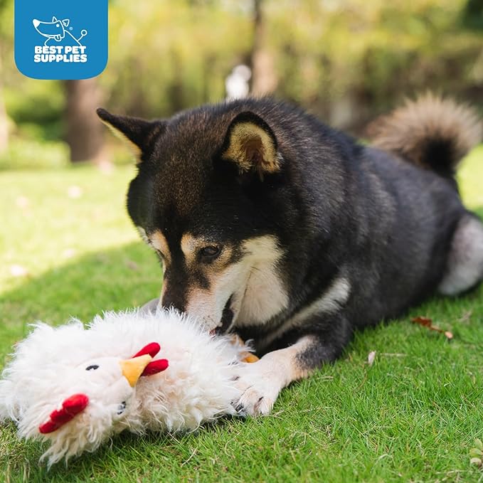 Best Pet Supplies Interactive Squeaky Dog Chew Toy, Ideal Dog Toys for Chewers, Small, Medium & Large Dogs, and Fetch Lovers - Crinkle Chicken (Brown, Beige, Wine Red), Large