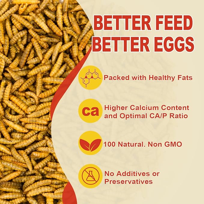 22LB Dried Black Solider Fly Larvae, BSFL is High Protein Chicken Feed with 85x More Calcium Than Dried Mealworms, Poultry Treats, Chickens Love, Birds Love, Hens Love, Ducks Love