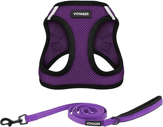 Voyager Step-in Air All Weather Mesh Harness and Reflective Dog 5 ft Leash Combo with Neoprene Handle, for Small, Medium and Large Breed Puppies by Best Pet Supplies - Purple/Black Trim, Medium
