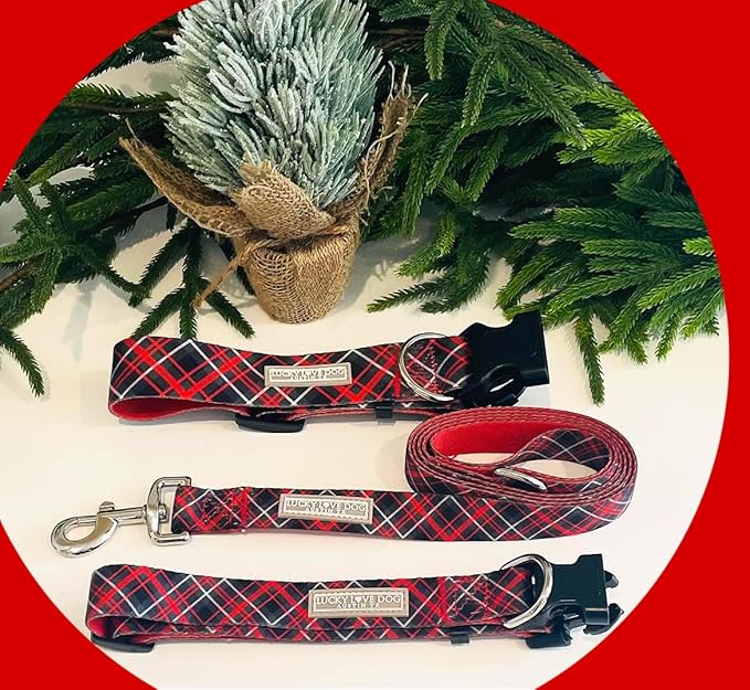 Lucky Love Dog - Adjustable Dog Collar with Easy Click Buckle for Small to Large Ones, Durable, & Comfortable for Male & Female Dogs, Pet Collar for Puppies & Adult Dogs - Heywood, X-Large