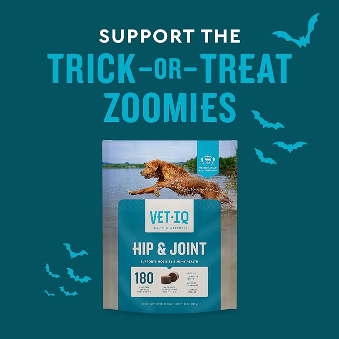 VetIQ Glucosamine Hip & Joint Supplement for Dogs, 180 Soft Chews, Dog Joint Support Supplement with MSM and Krill, Dog Health Supplies Large & Small Breed, Chicken Flavored Chewables