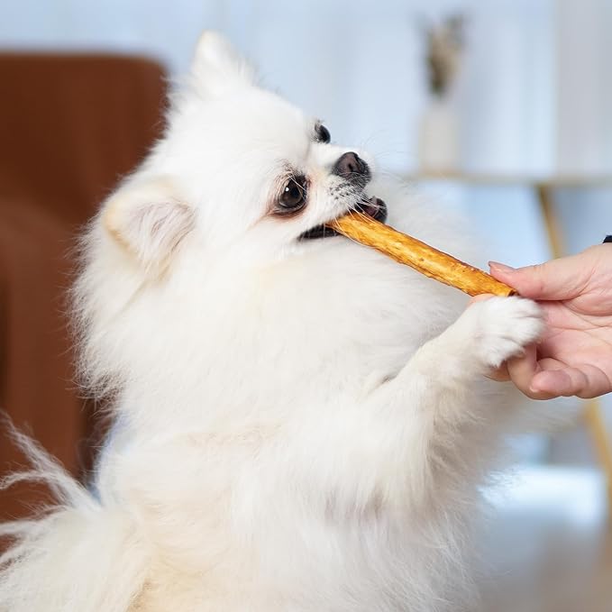 MON2SUN Chicken Collagen Sticks for Dogs, 5 Inch Teeth Cleaning Collagen Chews for Medium Dogs (Chicken Flavored), Healthy Snacks, 21.16oz (30 Count-Pack of 1)