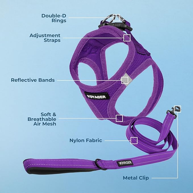 Voyager Step-in Air All Weather Mesh Harness and Reflective Dog 5 ft Leash Combo with Neoprene Handle, for Small, Medium and Large Breed Puppies by Best Pet Supplies - Set (Purple), XS