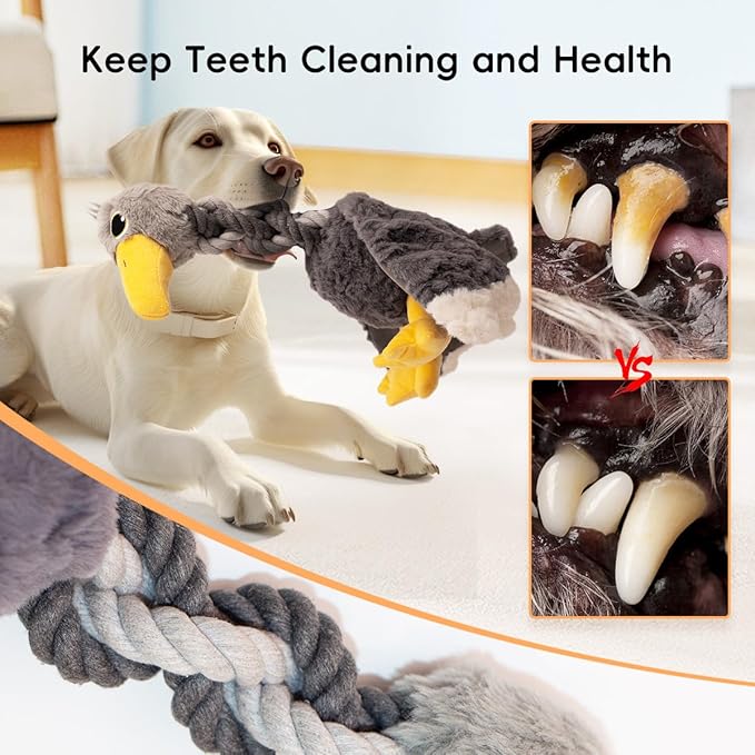 Cute Animal Squeaky Dog Toys for Large and Medium Breeds and Pupplies, Stuffed Chew Toys with Crinkle Paper and Durable Ropes, Soft Tug Plush Dog Toys for Teething (Black Bird)