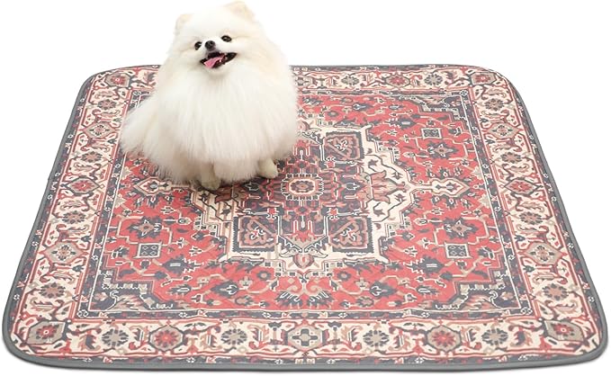 Paw Inspired Designer Print Dog Pads (2 Pack) | Premium Washable Pee Pads | Reusable Puppy Pads for Potty Training, Whelping, Waterproof Mat | Leakproof, Non-Slip Liner (Persian Style, 36" x 36" Size)