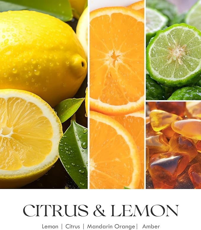 AOOVOO Citrus Lemon 11 oz Large Odor Eliminating Candle - Eliminates 95% of Pet, Smoke, Food, and Other Smells Quickly, Long Lasting Highly Fragranced Air Freshing Soy Candle