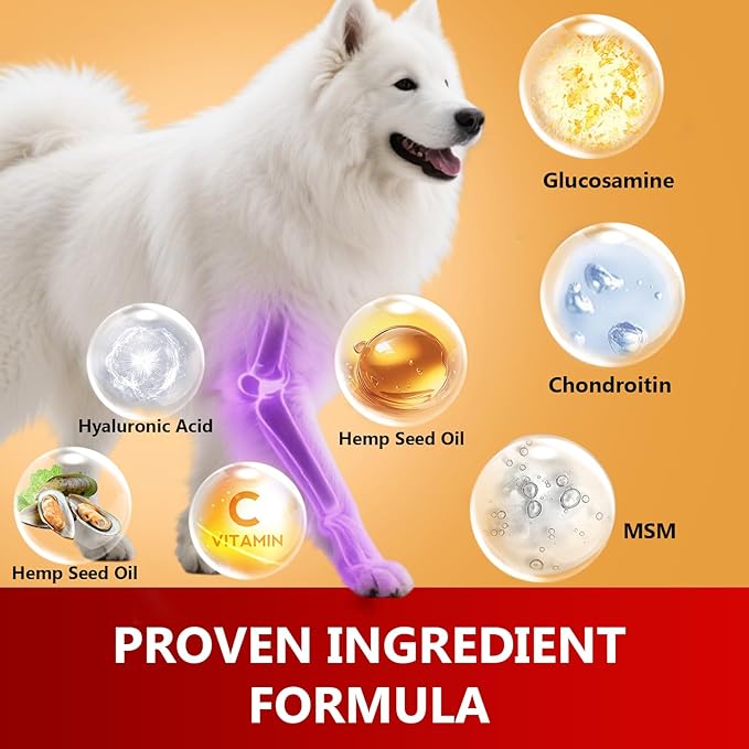 Hip and Joint Supplement for Dogs with Glucosamine, Chondroitin & MSM - Duck Flavor Joint Care Chews, 120 Count - Advanced Mobility Support - Senior Dog Approved (Duck)
