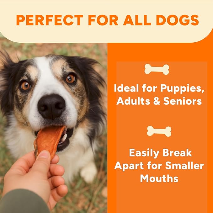 Gaines Family Farmstead Sweet Potato Chews for Dogs - 14 oz Bag, Single Ingredient, Sweet Potato Dog Treats, High Fiber, Grain-Free, Rawhide Alternative, Vitamin-Rich, Made in USA