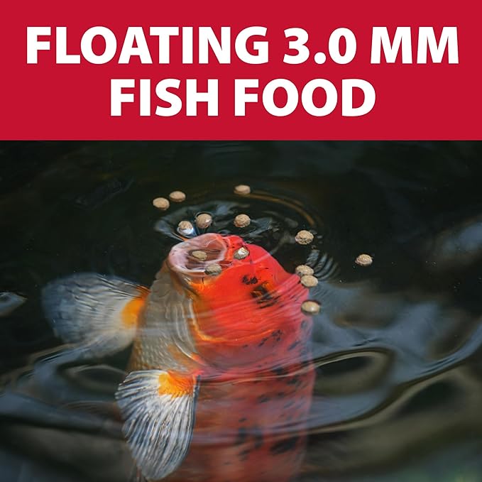 The Pond Guy Staple Fish Food for Backyard Koi & Goldfish, Choice Floating Pellets for Fish Wellness & Health, Smart Nutrition for Clean Ponds, 12 lbs