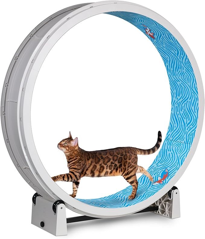 One Fast Cat - Cat Exercise Wheel - Gen. 7 - Safe 48" Diameter - Made in The USA - White Wheel with Koi Pond Foam Traction Pads and Solid Black Inline Wheels