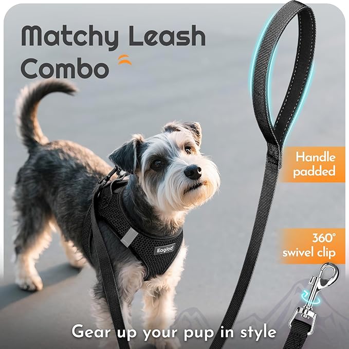 Eagloo Small Dog Harness and Leash Set, Step in Puppy Vest with Breathable Soft Mesh, Walking Reflective Pet Harness for Extra Small Dogs, Black, XXS