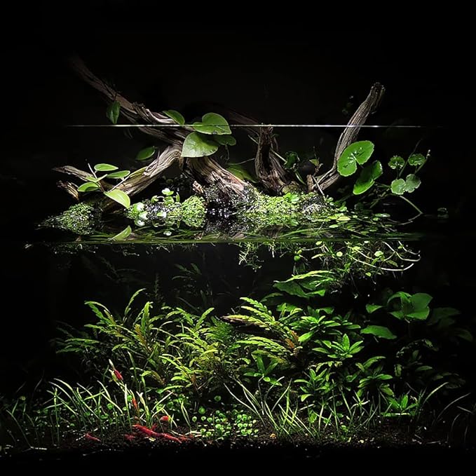 Ultum Nature Systems Controsoil - Freshwater Aqua Soil Substrate for Fish, Shrimp, Live Plant Propagation and Aquascaping - 6.8pH Low Ammonia, Volcanic Ash - Black, Normal (3 Liter | 6LB)