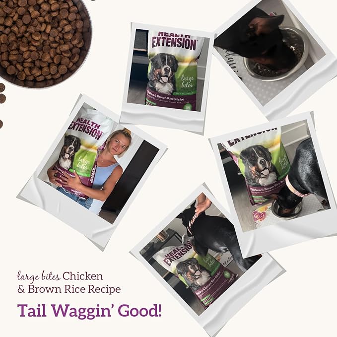 Health Extension Large Bites Chicken & Brown Rice Dry Dog Food (30 lb / 13.61 kg) - Protein-Rich Formula with Probiotics & Essential Nutrients for Larger Breeds