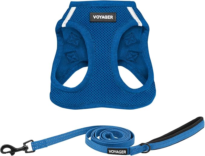 Voyager Step-in Air All Weather Mesh Harness and Reflective Dog 5 ft Leash Combo with Neoprene Handle, for Small, Medium and Large Breed Puppies by Best Pet Supplies - Set (Royal Blue), L